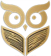 Novusbyte owl logo