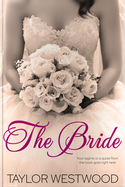 Premade Book Cover