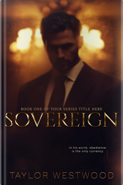 Premade Book Cover