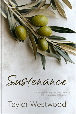 Premade Book Cover