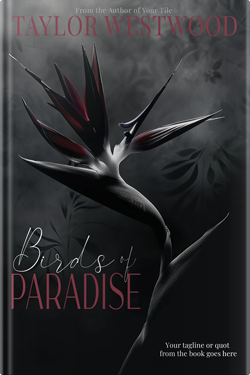 Premade Book Cover